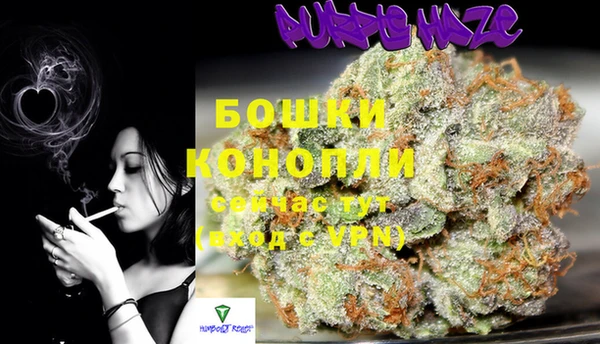 spice Магадан
