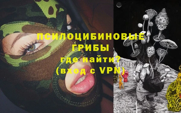 Альфа ПВП Магас