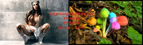 spice Магадан